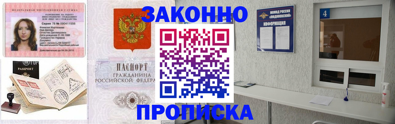 прописка в квартире в Зверево